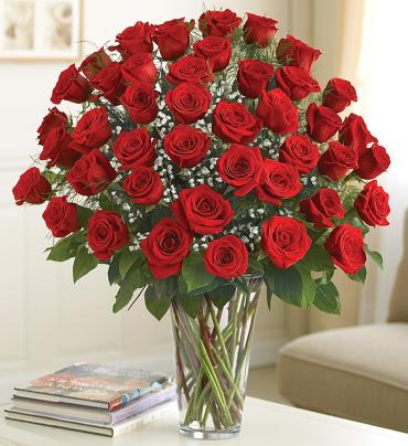 Ultimate Elegance   Premium Long Stem Red Roses