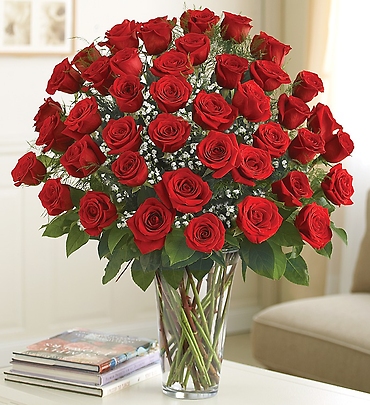 Ultimate Elegance   Premium Long Stem Red Roses