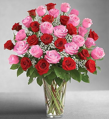 Ultimate Elegance Long Stem Pink & Red Roses