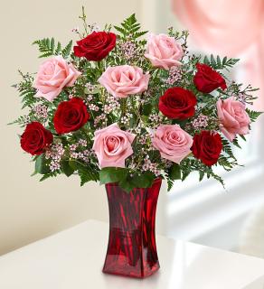 Shades of Pink and Redâ?¢ Premium Long Stem Roses