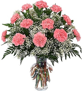 Carnations By The Dozen