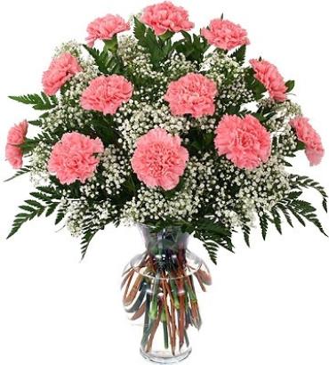 Carnations By The Dozen