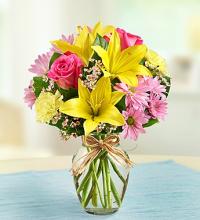 Fields of Europe&trade; for Spring