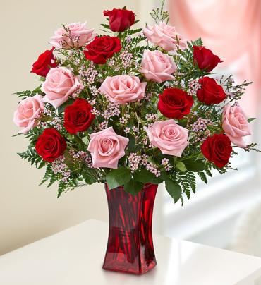 Shades of Pink and Red Premium Long Stem Roses