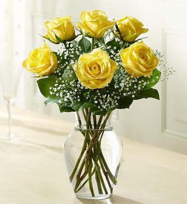 Love\'s Embrace Roses Yellow