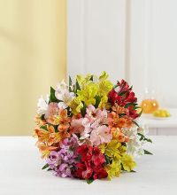 Peruvian Rainbow Hand tied bouquet