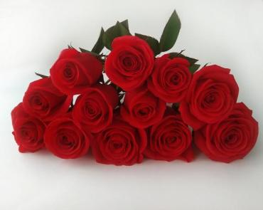 Red Roses Galore