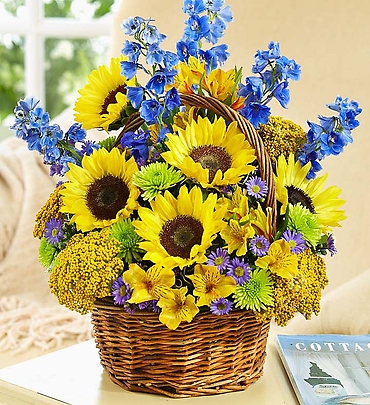 Fields of Europe&trade; for Summer Basket